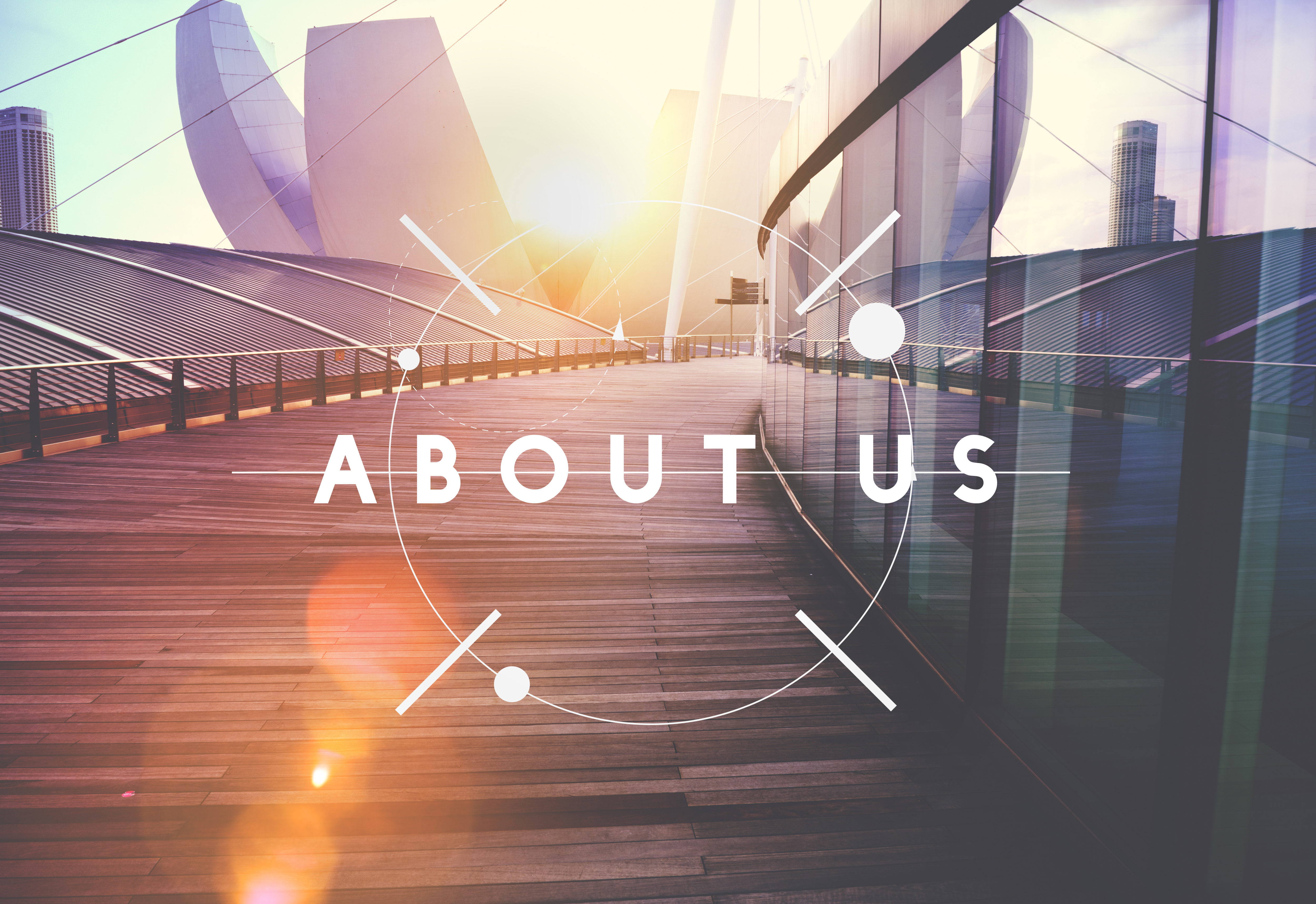 WiseWay team collaborating on a digital roadmap